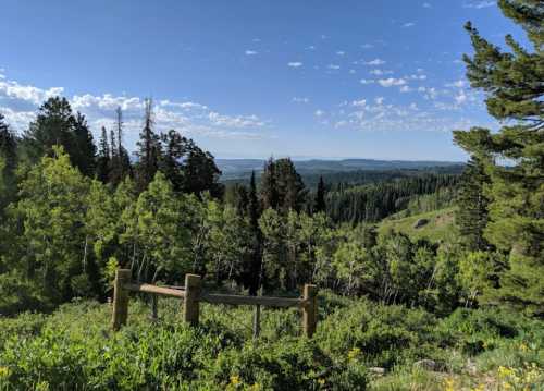 A scenic view of a lush green landscape with trees and distant mountains under a blue sky with scattered clouds.