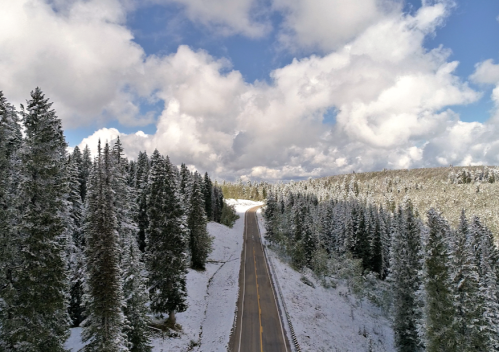 A snow-covered road winds through a forest of tall evergreen trees under a partly cloudy sky.