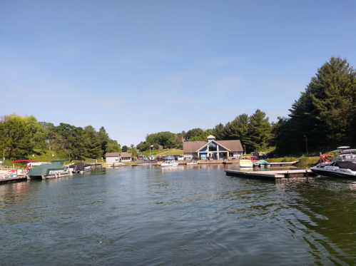 A serene marina with boats docked, surrounded by trees and a building in the background under a clear blue sky.
