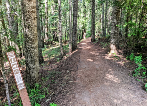 A forest trail surrounded by tall trees, with a sign indicating paths for hiking, biking, and pets.