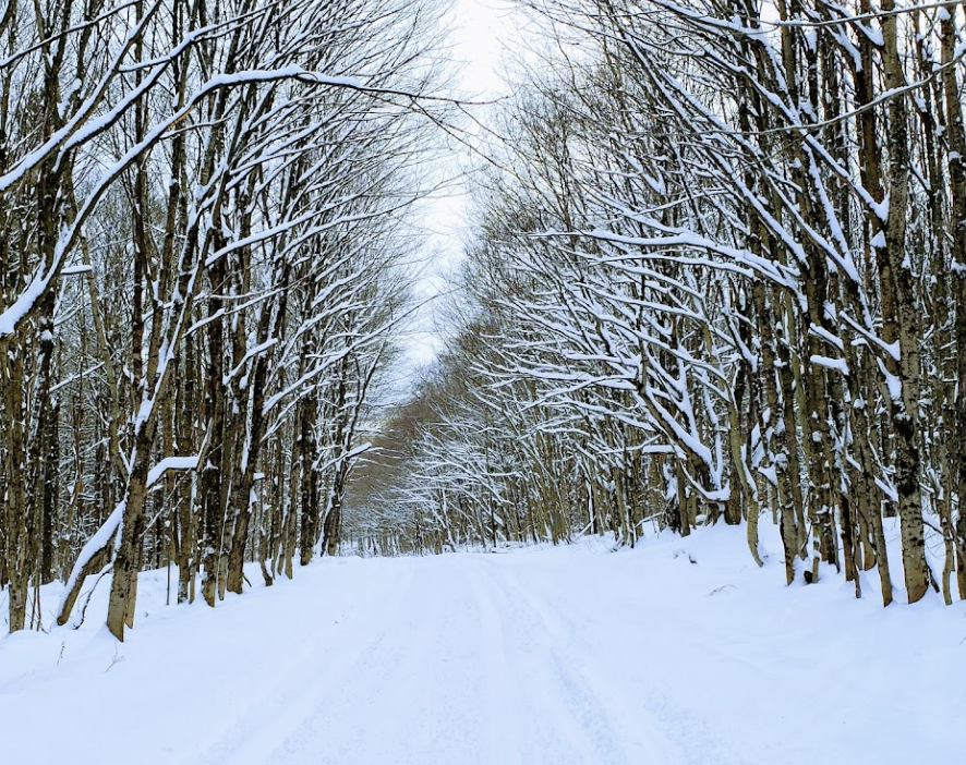 Take A Winter Getaway To West Turin, New York's Snowiest Town