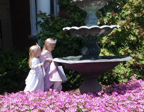 Two young girls in dresses play near a fountain surrounded by vibrant pink flowers on a sunny day.