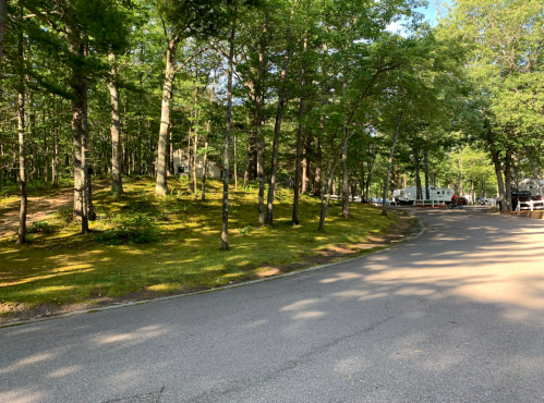 A winding road through a lush green forest with trees and a glimpse of parked vehicles in the background.