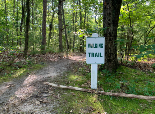 A sign reading "WALKING TRAIL" stands at the entrance of a wooded path surrounded by trees and greenery.