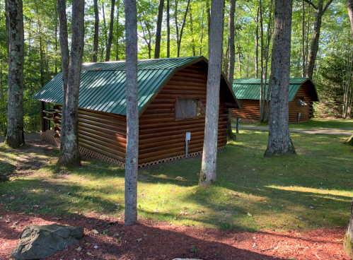 Two log cabins with green roofs nestled among trees in a serene forest setting.