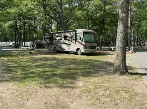 A parked RV in a wooded campground, surrounded by trees and grassy areas.