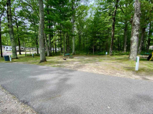 A clear, grassy area surrounded by trees, with a paved road and camping sites in the background.