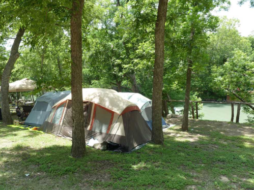 A campsite with tents nestled among trees near a calm river, surrounded by green grass and foliage.