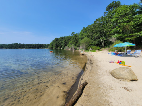 A sandy beach by a calm lake, surrounded by trees, with beach chairs and an umbrella set up nearby.