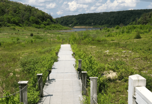 A wooden walkway leads through lush greenery towards a calm lake under a partly cloudy sky.