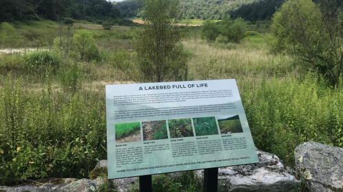 A sign titled "A Lakebed Full of Life" in a grassy area, surrounded by trees and hills in the background.