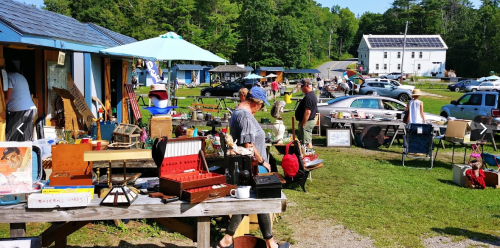 A bustling outdoor market with various stalls, people browsing items, and greenery in the background.