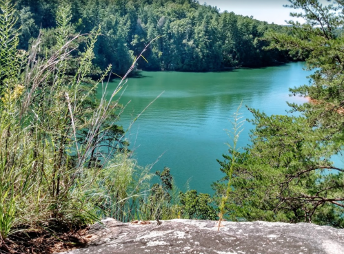 A serene view of a green lake surrounded by lush trees and rocky terrain under a clear blue sky.