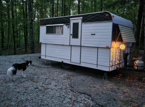 A white camper trailer in a wooded area, with a dog standing nearby, illuminated by a warm light.