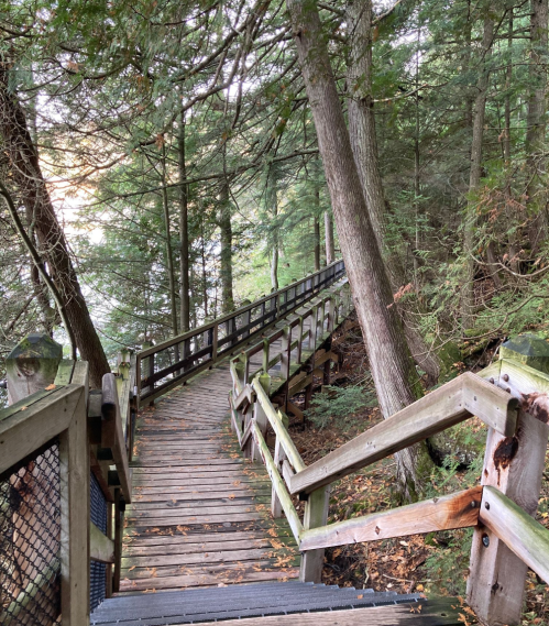 A wooden boardwalk winding through a forest, leading down towards a body of water. Trees line the path on both sides.