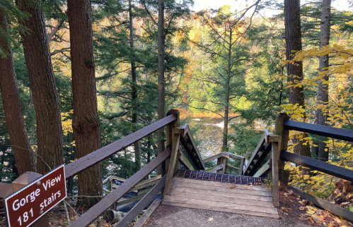 A wooden staircase descends through trees, leading to a scenic view of a gorge and river below.