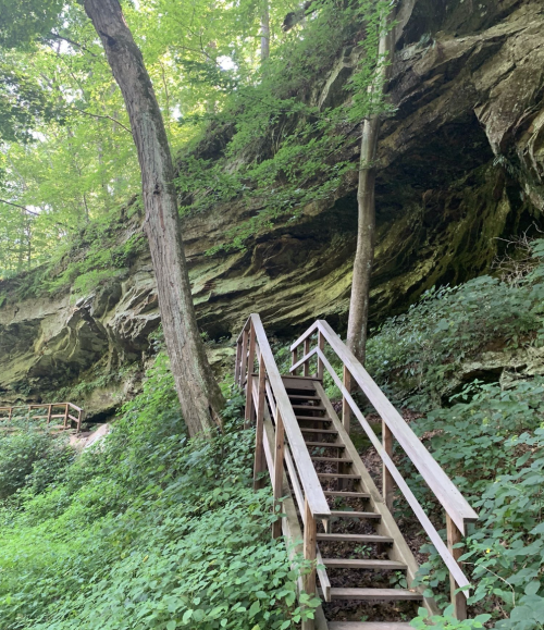 A wooden staircase leads up through lush greenery to a rocky cliffside in a forested area.