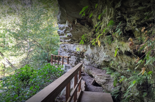 A wooden walkway leads through a rocky area with lush greenery and ferns along the sides.