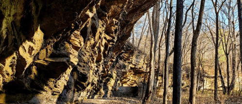 Rocky cliffside with layered stone formations, surrounded by tall trees in a wooded area during autumn.