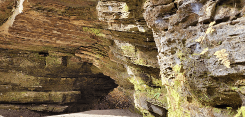 A rocky cave entrance with layered stone walls and patches of green moss, surrounded by earthy tones.