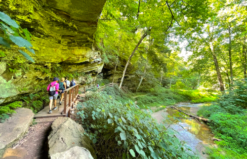 Hikers on a wooden path beside a creek, surrounded by lush greenery and rocky cliffs in a serene forest setting.