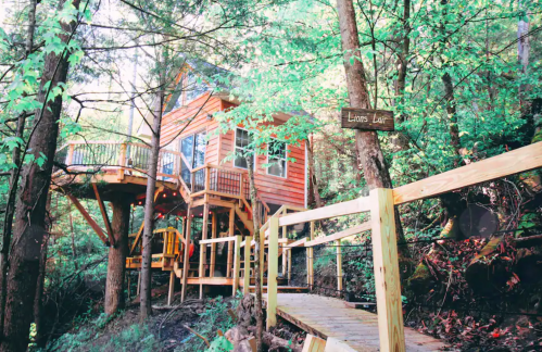 A treehouse nestled among trees, featuring a wooden walkway and a sign that reads "Lion's Lair."