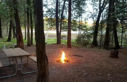 A campsite with a fire pit surrounded by trees, a picnic table nearby, and a view of a lake in the background.