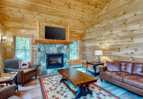 Cozy cabin interior with wooden walls, a stone fireplace, a TV, and comfortable seating. Natural light from windows.