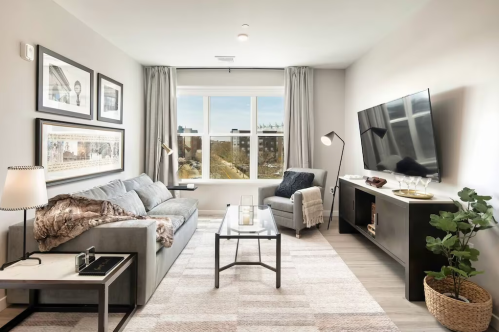 Modern living room with a gray sofa, coffee table, TV, and large window showcasing a city view. Stylish decor and plants.