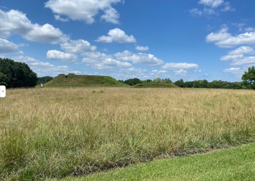 A grassy field with a large earthen mound under a blue sky with fluffy clouds. Trees line the background.