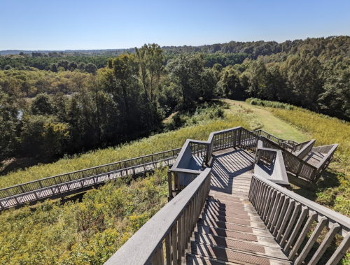 A wooden staircase winds down through lush greenery, leading to a scenic view of trees and hills under a clear blue sky.