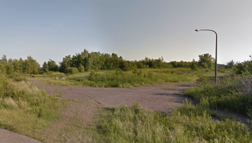 Overgrown intersection with a streetlamp, surrounded by dense greenery and trees under a clear sky.