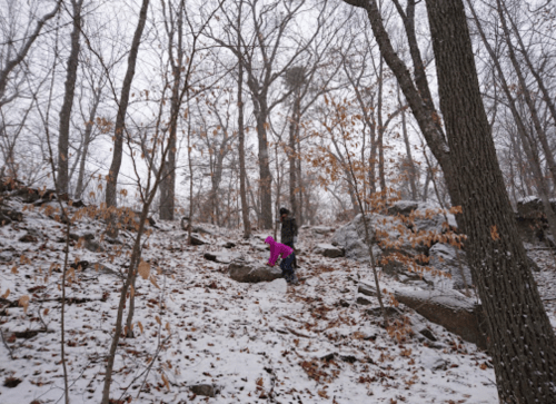 A child in a pink jacket climbs a snowy, rocky hillside surrounded by bare trees and fallen leaves.
