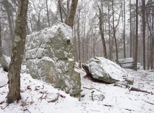 Snow-covered rocks in a forest, surrounded by trees in a winter landscape.
