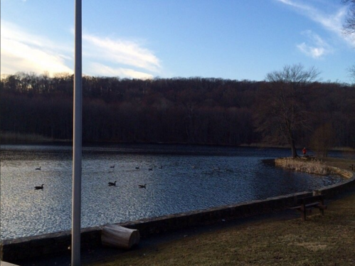 A serene lake surrounded by trees, with ducks swimming and a stone wall along the shore under a blue sky.