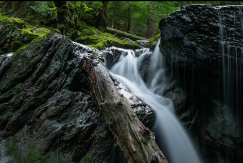 A serene waterfall cascades over moss-covered rocks, with a fallen log resting nearby in a lush green forest.