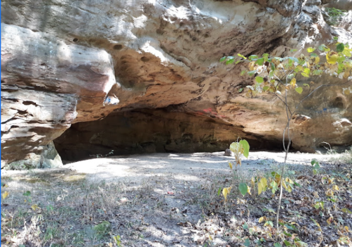 A rocky cave entrance surrounded by sparse vegetation and a sandy floor.