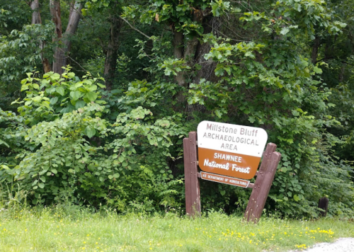 Sign for Millstone Bluff Archaeological Area in Shawnee National Forest, surrounded by lush green trees and foliage.