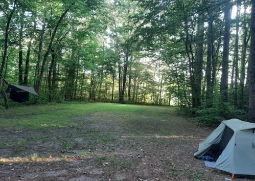 A serene campsite in a lush green forest, featuring two tents and a clear area surrounded by trees.