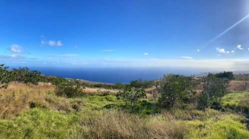 Panoramic view of a lush landscape with green grass and trees, overlooking a vast blue ocean under a clear sky.