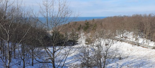A snowy landscape with bare trees, leading to a view of the ocean under a clear blue sky.