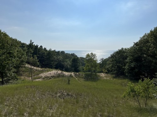 A serene landscape featuring grassy dunes, trees, and a view of the shimmering ocean under a clear blue sky.