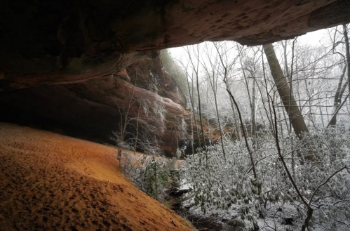 A snowy landscape viewed from inside a cave, with trees and sandy ground visible in the foreground.