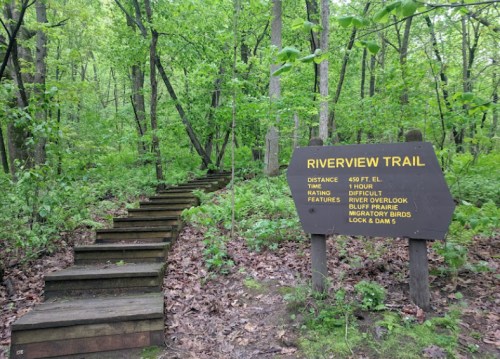 A wooden staircase leads into a lush green forest, with a sign for Riverview Trail detailing distance and difficulty.