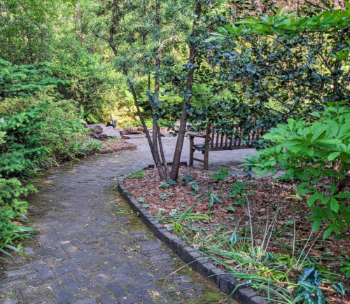 A winding stone path through a lush garden with greenery and a bench in the background.