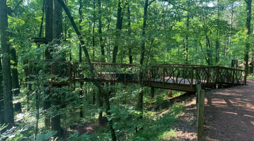 A wooden bridge surrounded by lush green trees in a forested area.