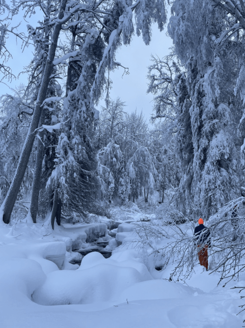 A snowy forest scene with a person in orange pants and a blue hat standing near a frozen stream surrounded by trees.
