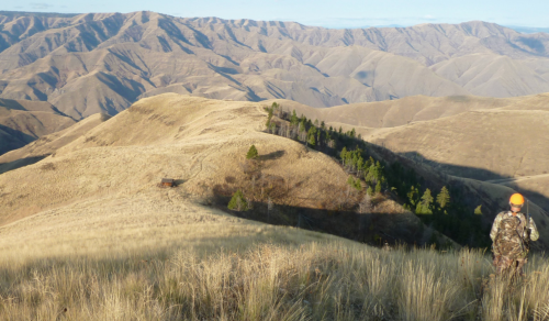 A person in camouflage stands on a grassy hill, overlooking a vast landscape of rolling, dry mountains.