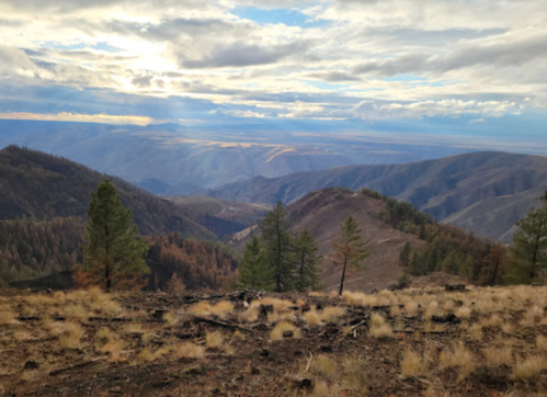 A panoramic view of mountains and valleys under a cloudy sky, with scattered trees and dry grass in the foreground.