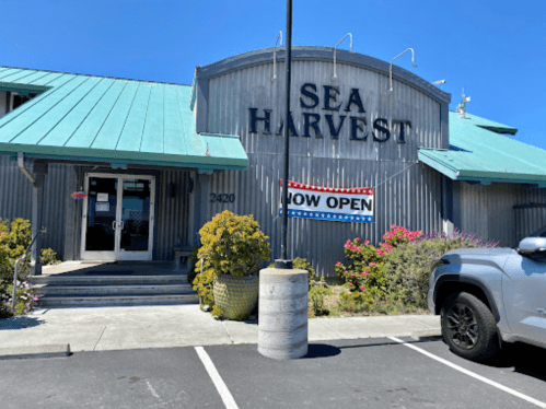 Exterior of Sea Harvest restaurant with a blue roof, "NOW OPEN" sign, and landscaped entrance on a sunny day.